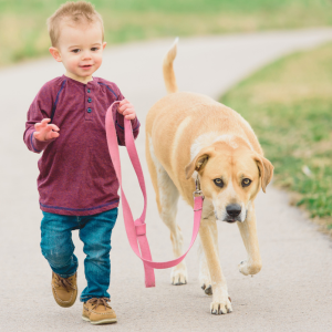 short controlled walk