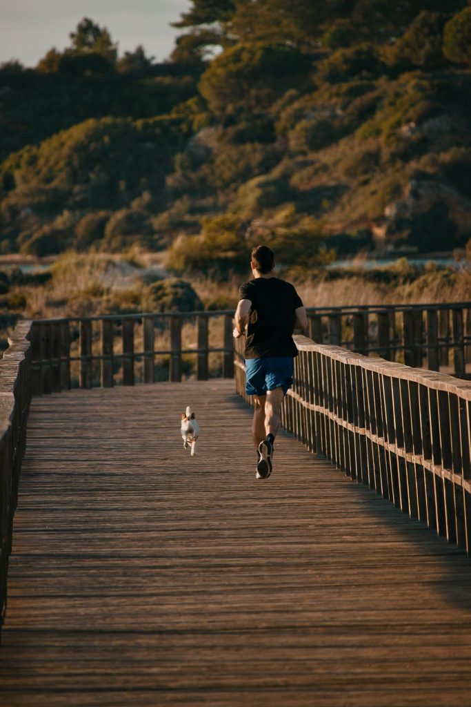 A man jogs on a scenic boardwalk in nature, accompanied by a small dog, capturing a moment of outdoor fitness.