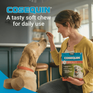 cosequin 4