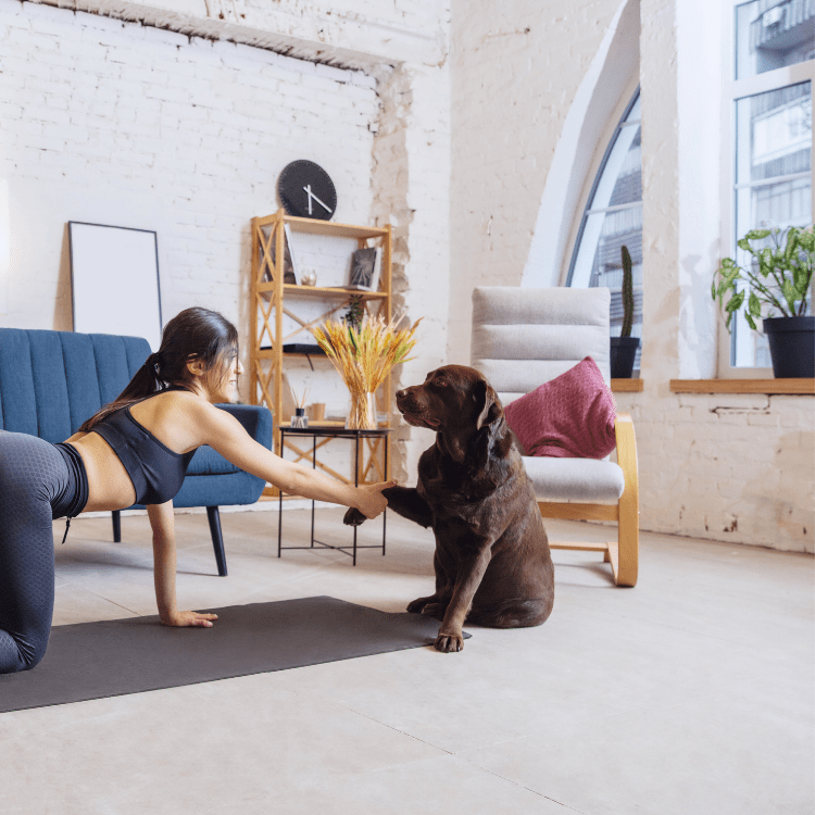 stretching with the dog