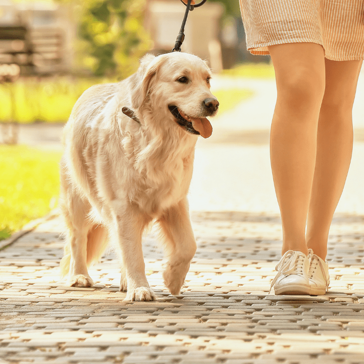 weekly planning excercise