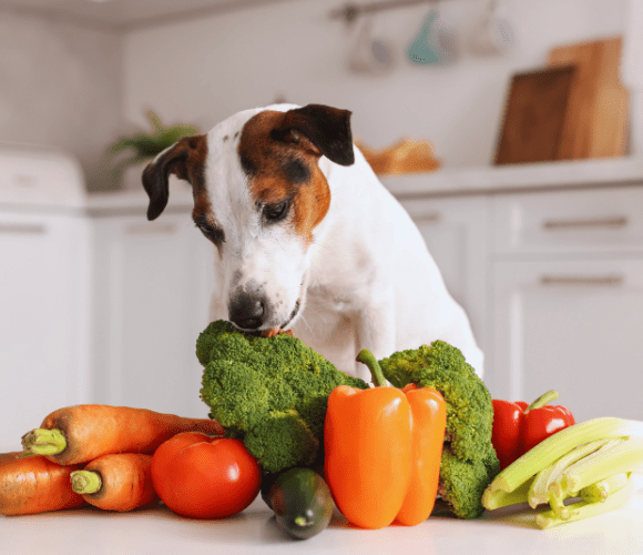 Dog Eating Veggies