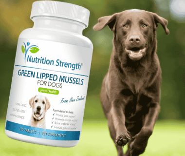 Green Lipped Mussel Supplement